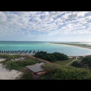 Meet your Posher, Blue